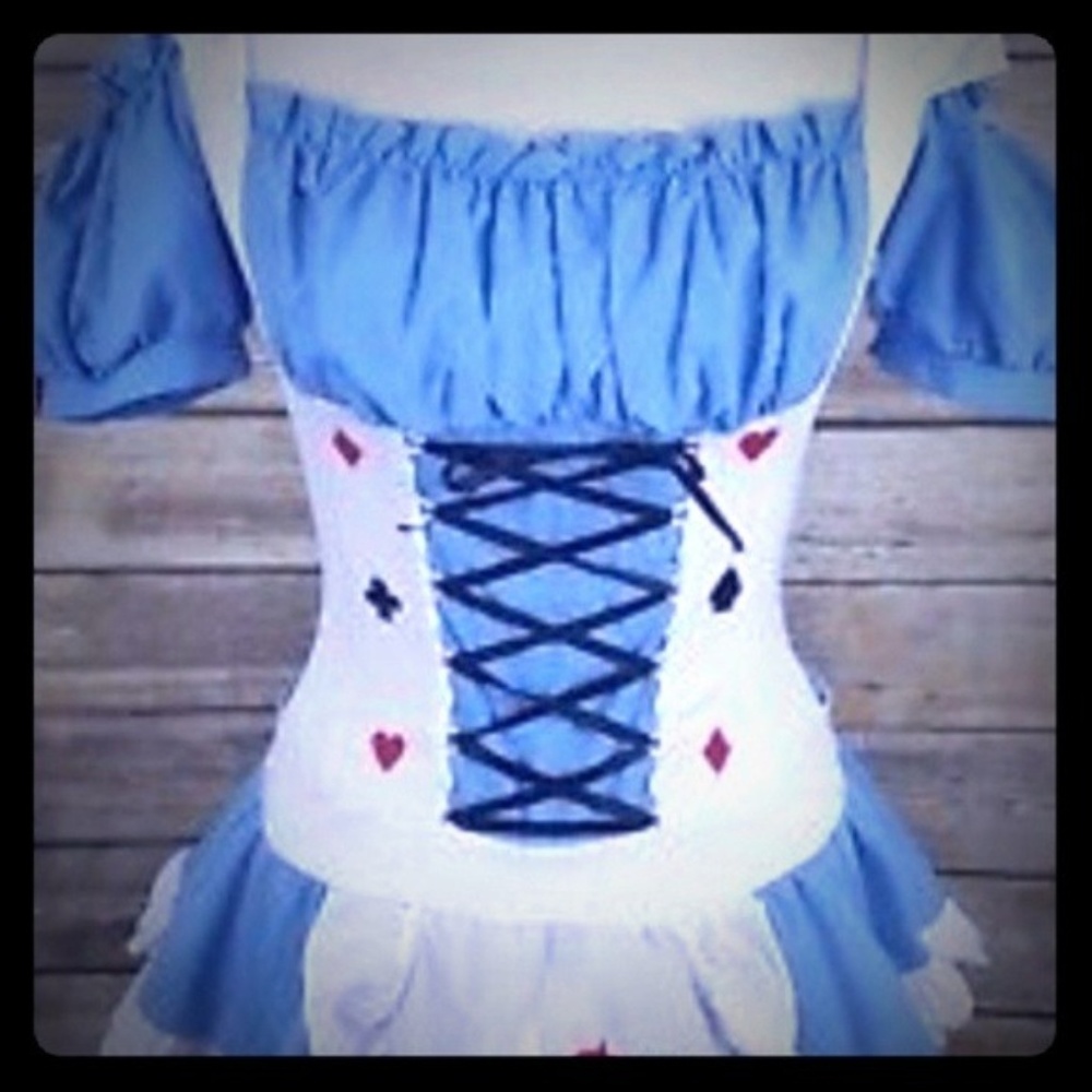 Alice In Wonderland Costume